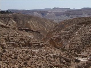 Negev Desert (3)